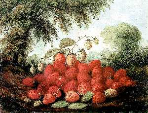 Erdbeeren Umschüttend von einem Korb und Wachsen auf ein Busch