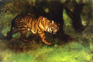 ExtremoOriente Tigre