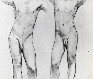 躯干 的   两  男性  裸体