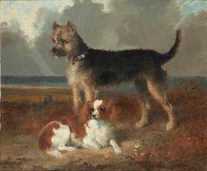 Two small dogs