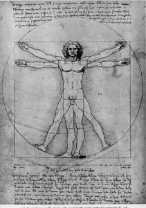 Vitruve Homme , Étude des proportions , tirées Vitruvius's de architectura
