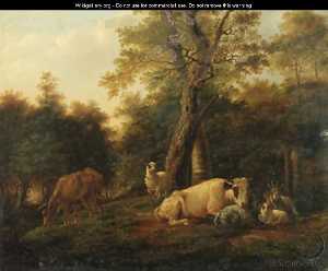 Ganado , cabras y ovejas por abedules en un paisaje boscoso