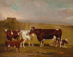 Retratos del ganado de los Mejorado Short-horned Raza , la propiedad de j . wilkinson esq . de lenton , cerca de nottingham