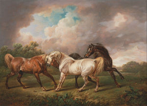  三 马匹  在 `stormy` 风景
