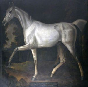 'grey Bisten', Property Of Sir John William De La Pole