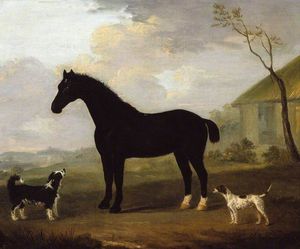 a negro caballo con dos perros