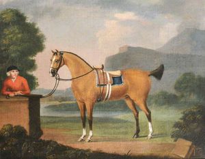 Un caballo Dun, con su novio