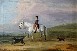 ein junger reiter auf a grau pferd und zwei Hunde