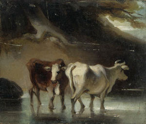 Cattle At A Pool