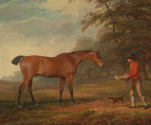 A Bay Horse Approached By A Stable-lad With Food And A Halter
