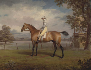 Retrato de un caballo de carreras, Posiblemente Disfraz, La propiedad del duque Of Hamilton, con el jinete arriba