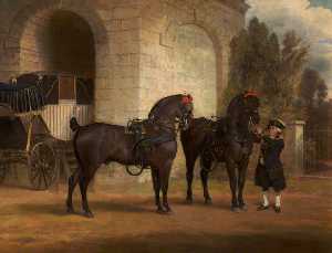 Two Black Coach Horses With A Coachman