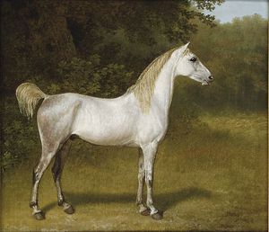 An Arab Stallion In A Landscape
