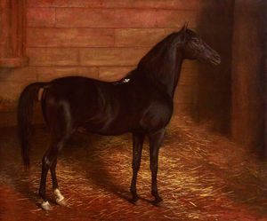 Arab Horse, The Second Sire