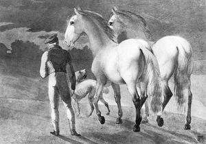 Stable Boy With Two Grey Horses And A Dog
