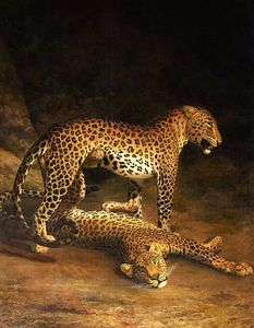 Zwei Leoparden liegen in den Exeter