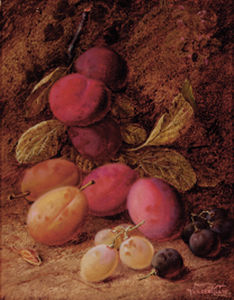 Prunes et raisins sur une banque Mossy