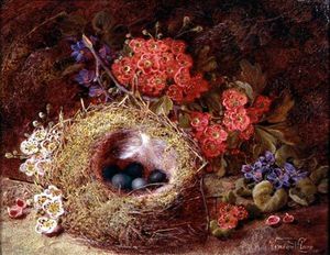 Still Life Of A Bird's Nest And Blossom