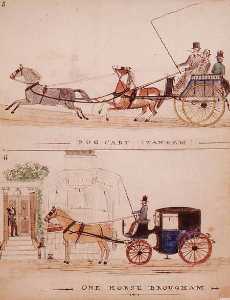 The Dog Cart And The One Horse Brougham