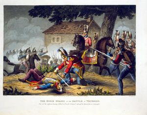 il cavallo Guardie al battaglia di Waterloo