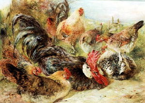 Poultry_2