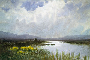 Connemara Landscape