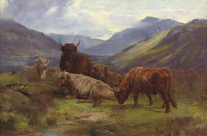 Highland Cattle Resting Before A Loch