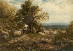 Sheep in Ruhe, kümmert sich den Flock