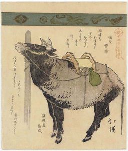 Tethered Ox, aus der Serie Sanjurokkin Tsuzuki