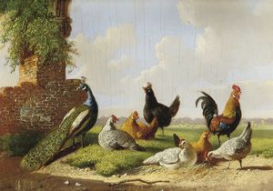A Peacock, Rooster And Hens In A Landscape