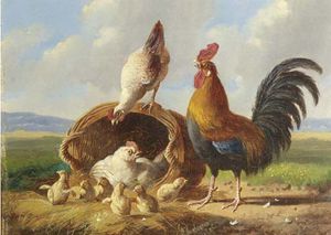 A Rooster, Chickens And Chicks In A Landscape