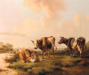 `cattle` por una arroyo