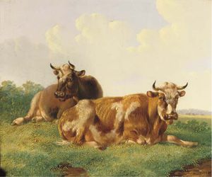 bestiame contro  Un  soleggiata  prato