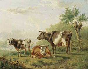 Vacas por una valla
