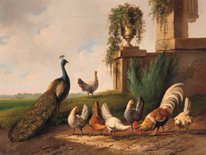 Peacock, Rooster And Chickens By A Ruin -