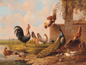 Pavo real, gallos, pollos y patos por un estanque y una ruina