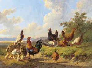 Poultry In A Meadow