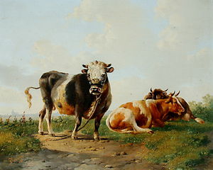 tre mucche
