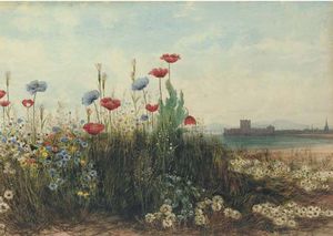 Poppies And Daisies With Carrickfergus Castle, Co. Antrim In The Distance