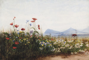 Mohnblumen , Kornblumen und gänseblümchen auf killiney Hügel ; Killiney Bucht , Schreien leiter und der zucker Laib Berg in der ferne