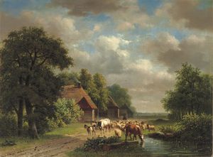 Cattle On A Path