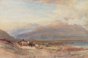 Droving Cattle In The Scottish Highlands