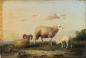 A Family Of Sheep