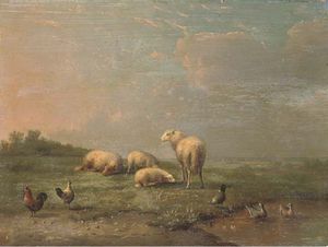 羊 和 鸡  通过 一个  池塘