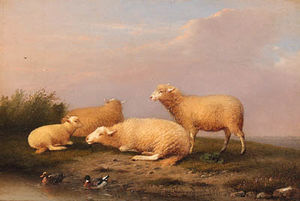 羊 和 鸭子 上 一个 河岸