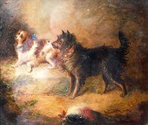 Un Spaniel And A Terrier