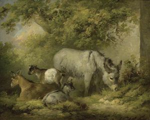 农家场景 - 一个 驴 和 山羊