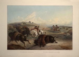 Indianer Jagd des Bison