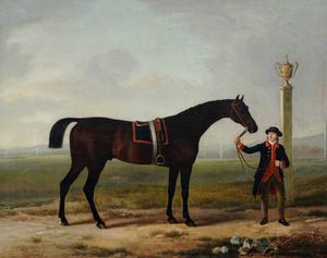 «Genièvre», A Bay Cheval de course, tenu par un marié, probablement sur l hippodrome de Doncaster