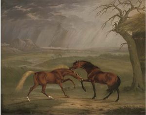 马匹 战斗 在 一个 雷暴